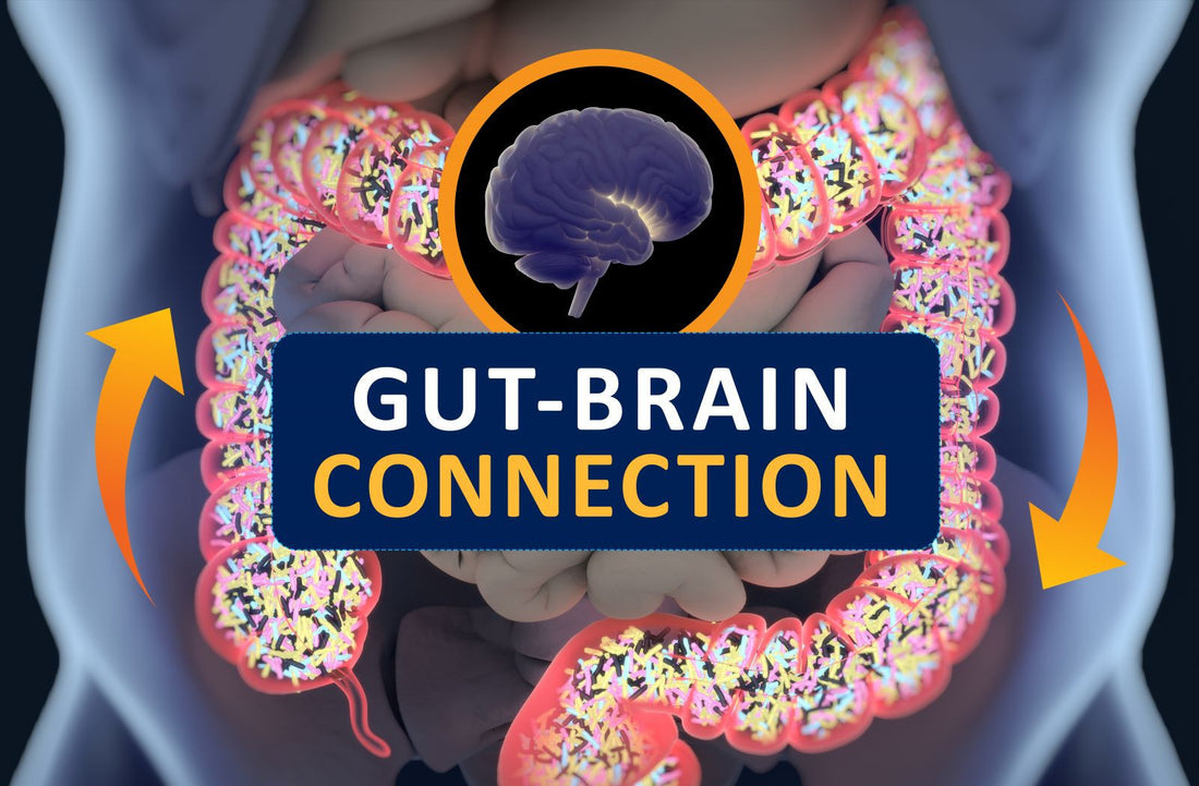 Unlocking the Gut-Brain Harmony: A Gateway to Tackling Anxiety and Digestive Woes