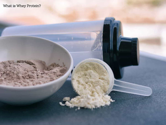 BCAA Boost: Decoding the Dilemma Between BCAAs and Whey Protein for Optimal Fitness