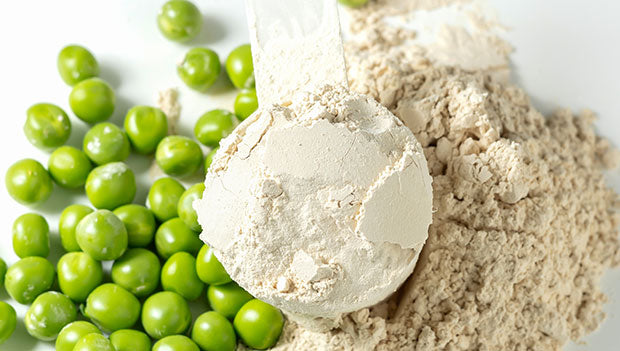 Urban Edge Emporium Unveils a Nutritional Revolution: Pure Pea Protein with Clean Taste & Texture